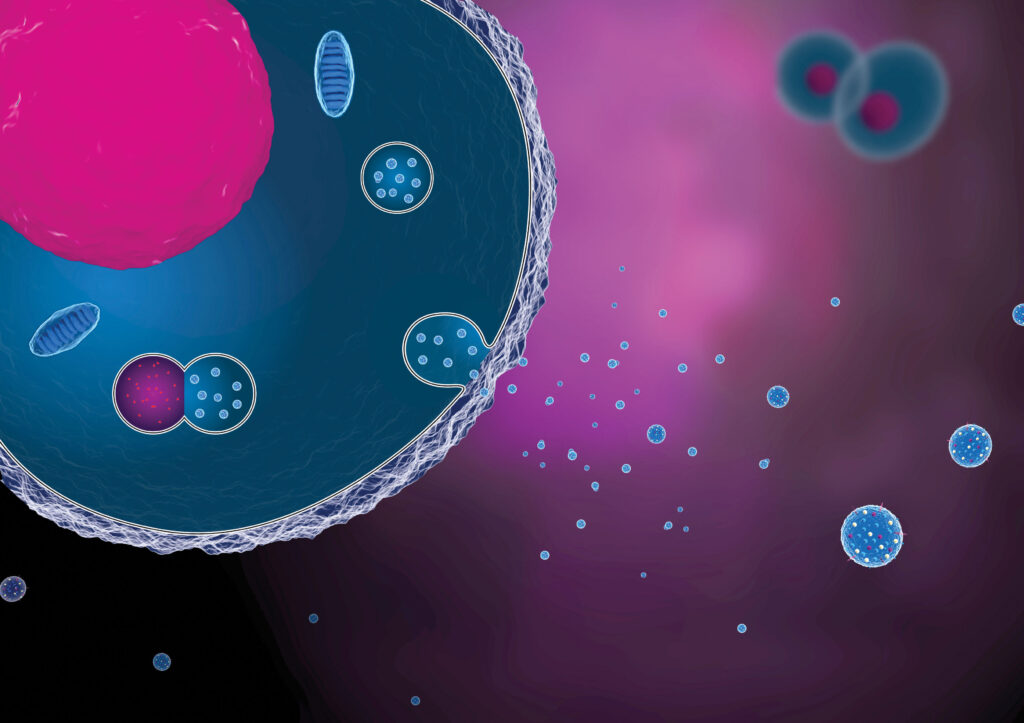How Do Exosomes Work?