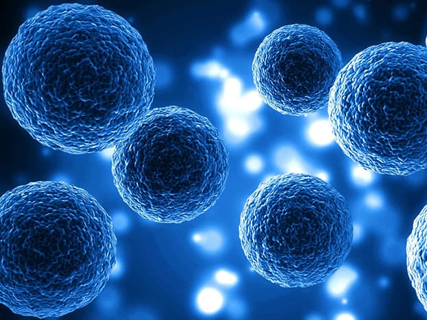 Market for Exosomes and EVs